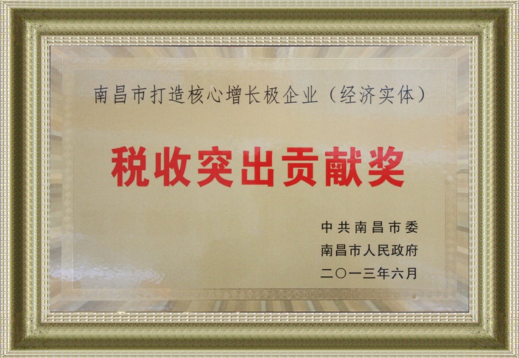 南昌市打造经济增长极税收突出贡献奖